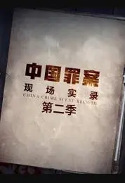 《罪案现场实录第二季》：探寻真相的足迹，聚焦人性的复杂与挣扎！