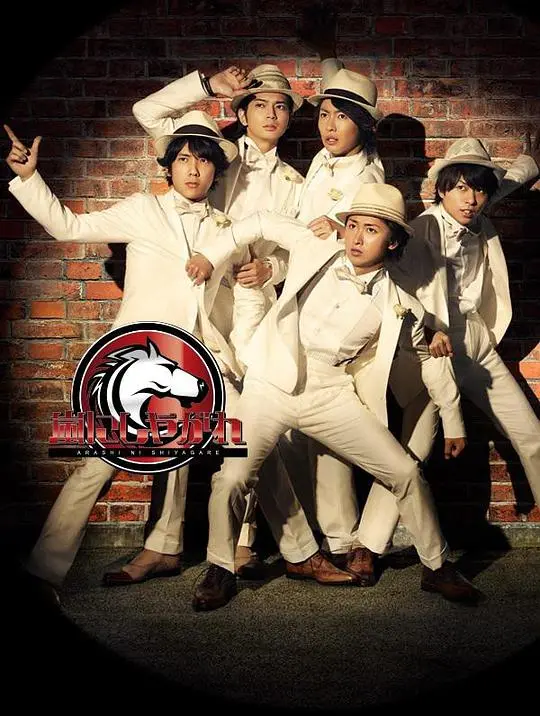 《交给岚吧》：不仅仅是综艺！揭秘国民天团岚的魅力与成长！