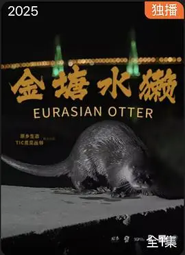 《金塘水獭》影评：自然之诗，生命之歌！揭秘水獭家族的生存智慧与温暖亲情