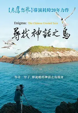 《寻找神话之岛》：一场触及灵魂的奇幻之旅，重拾生活希望与心灵治愈的动人史诗